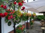 hanging-baskets 011