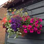 hanging-baskets 020