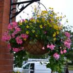 hanging-baskets 038