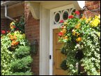 hanging-baskets 045