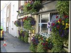 hanging-baskets 048