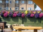 window-boxes 029