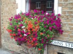 window-boxes 033