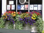 window-boxes 044